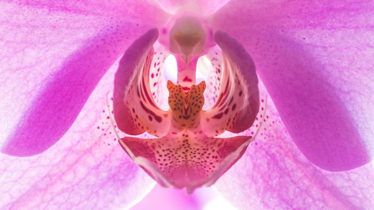 What Is Vaginal Rejuvenation?