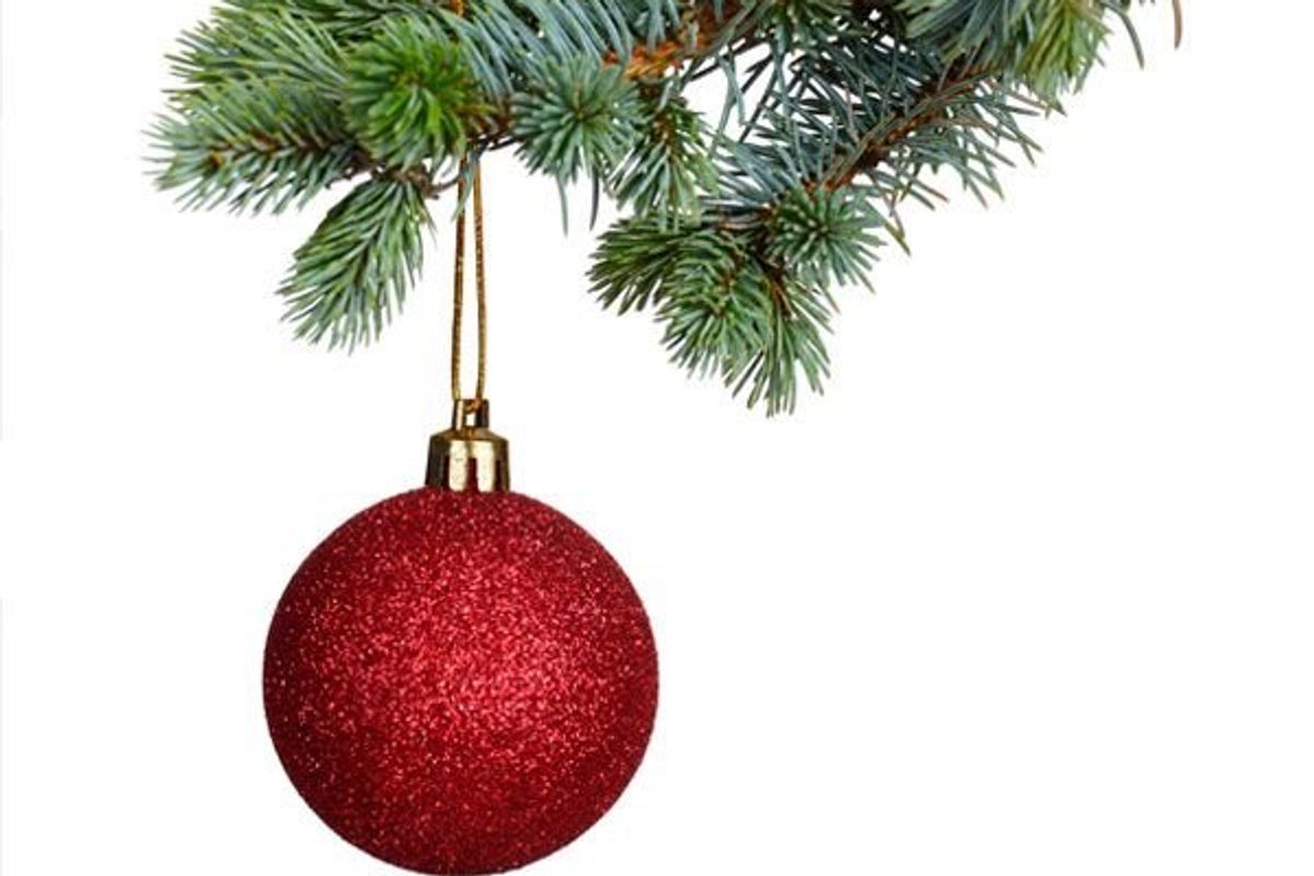 ornament hanging from a christmas tree