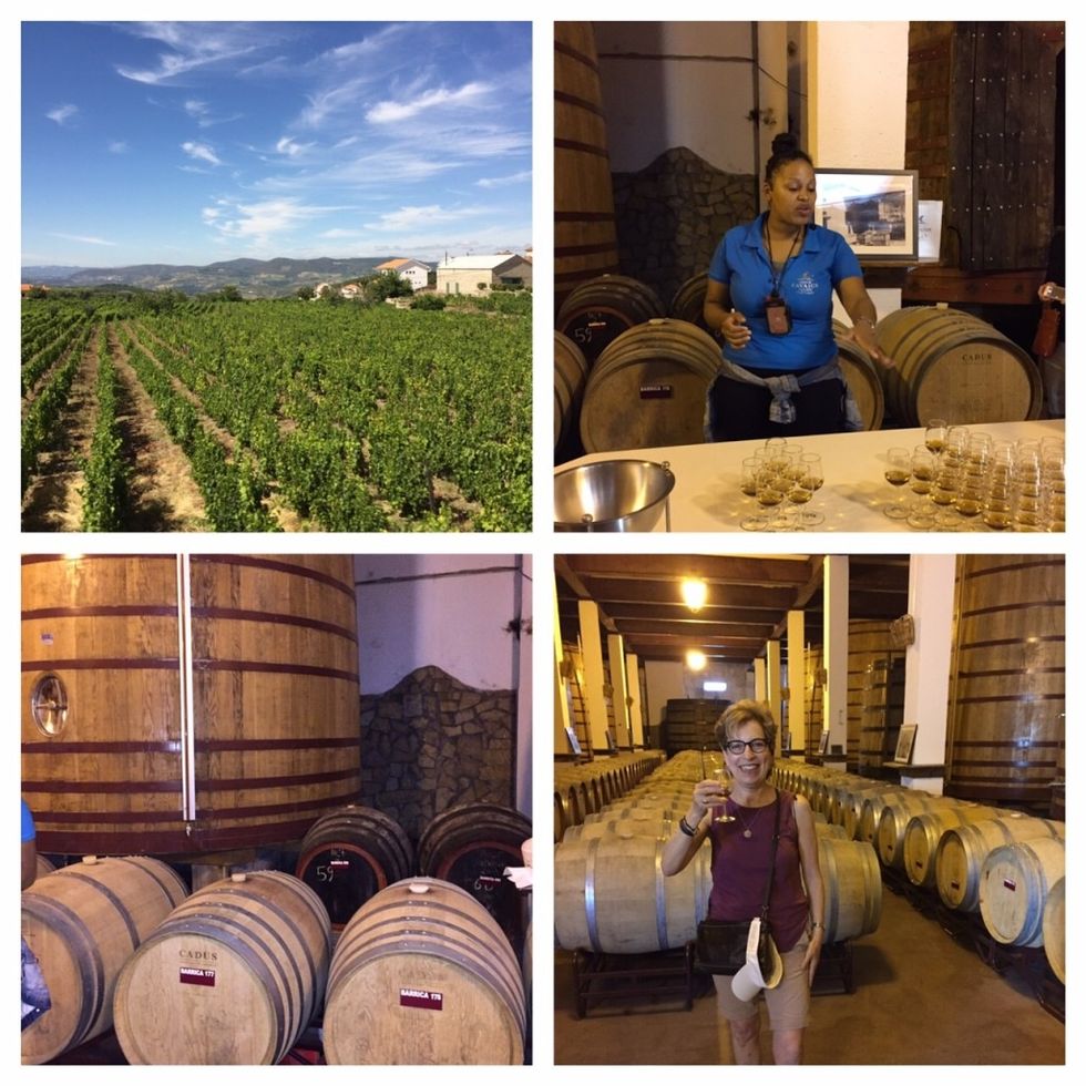 Our guide Maria shared how they make muscatel wines.