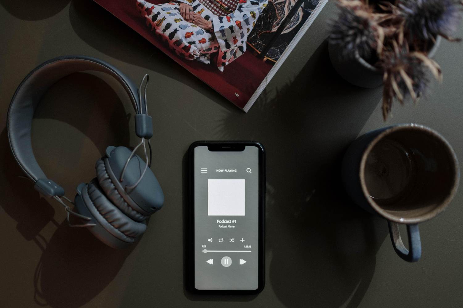 Podcasts