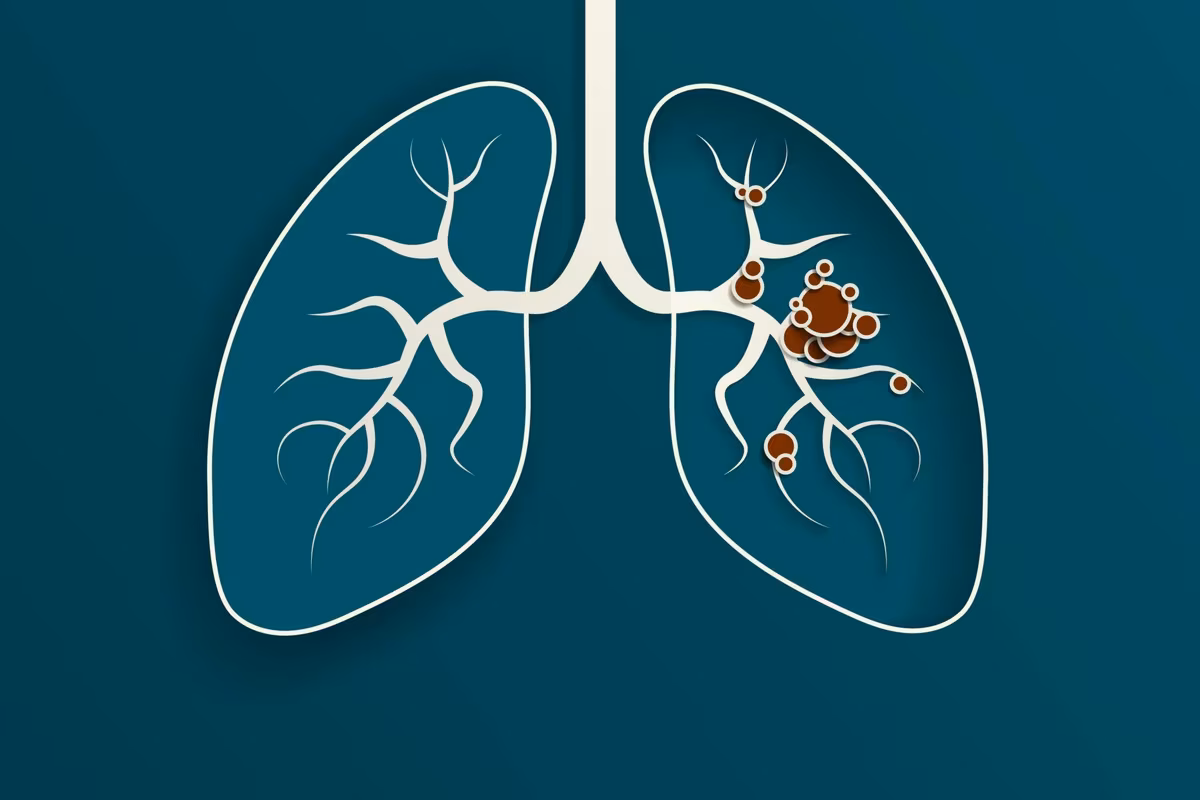 Paper Cut out Illustration of the human lungs