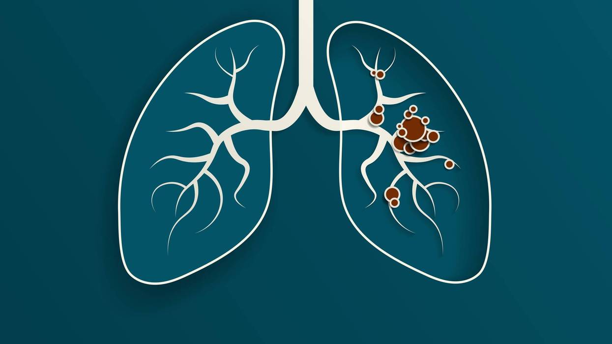 Paper Cut out Illustration of the human lungs