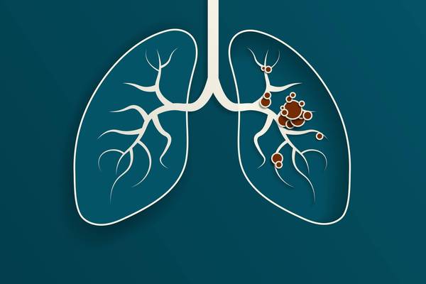Paper Cut out Illustration of the human lungs