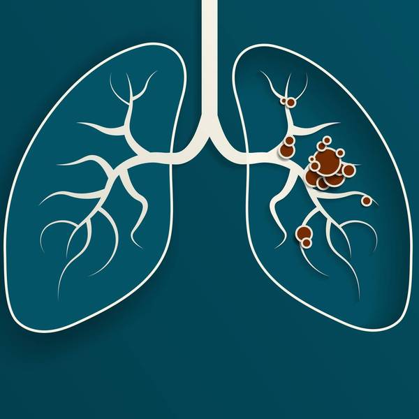Paper Cut out Illustration of the human lungs