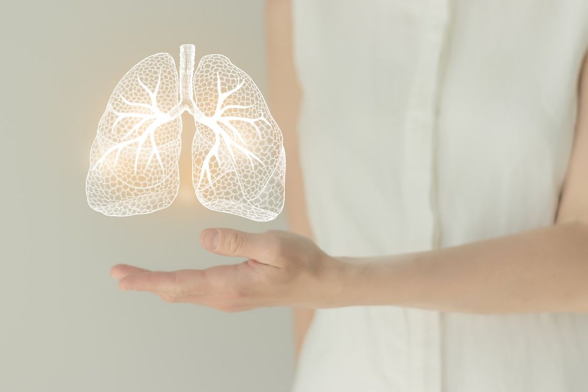 person holding lung diagram