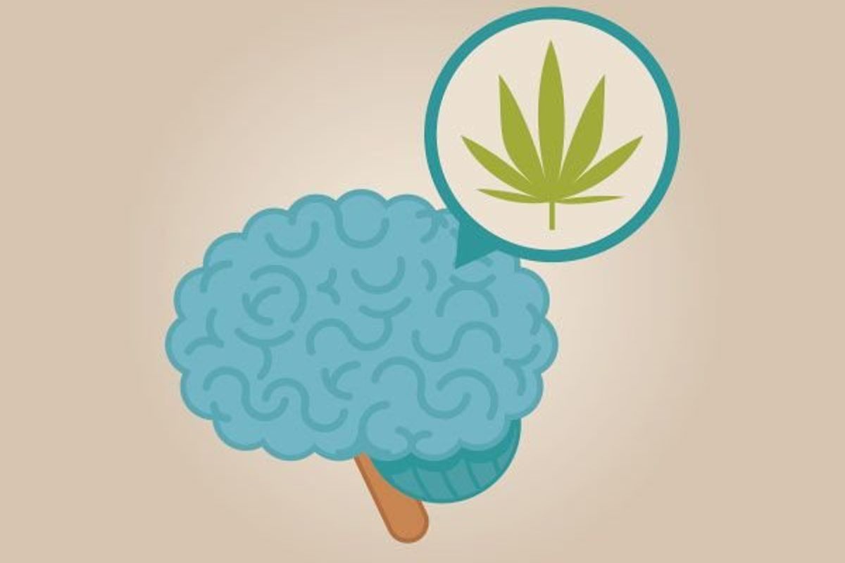Young Teens Who Smoke Pot May Be Doing THIS to Their Brains - HealthyWomen