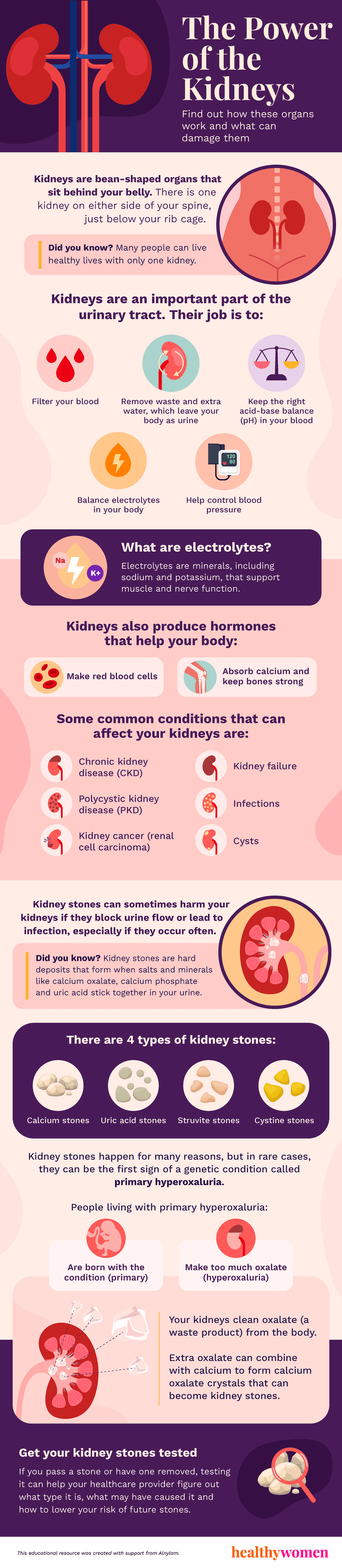 power of the kidneys infographic. Click to view PDF