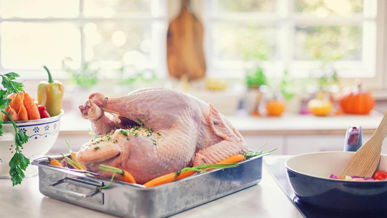 Protect Yourself From Salmonella This Thanksgiving