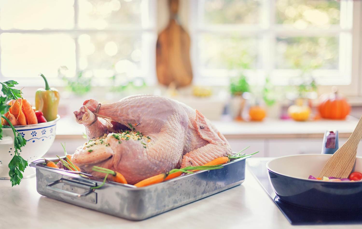 Protect Yourself From Salmonella This Thanksgiving