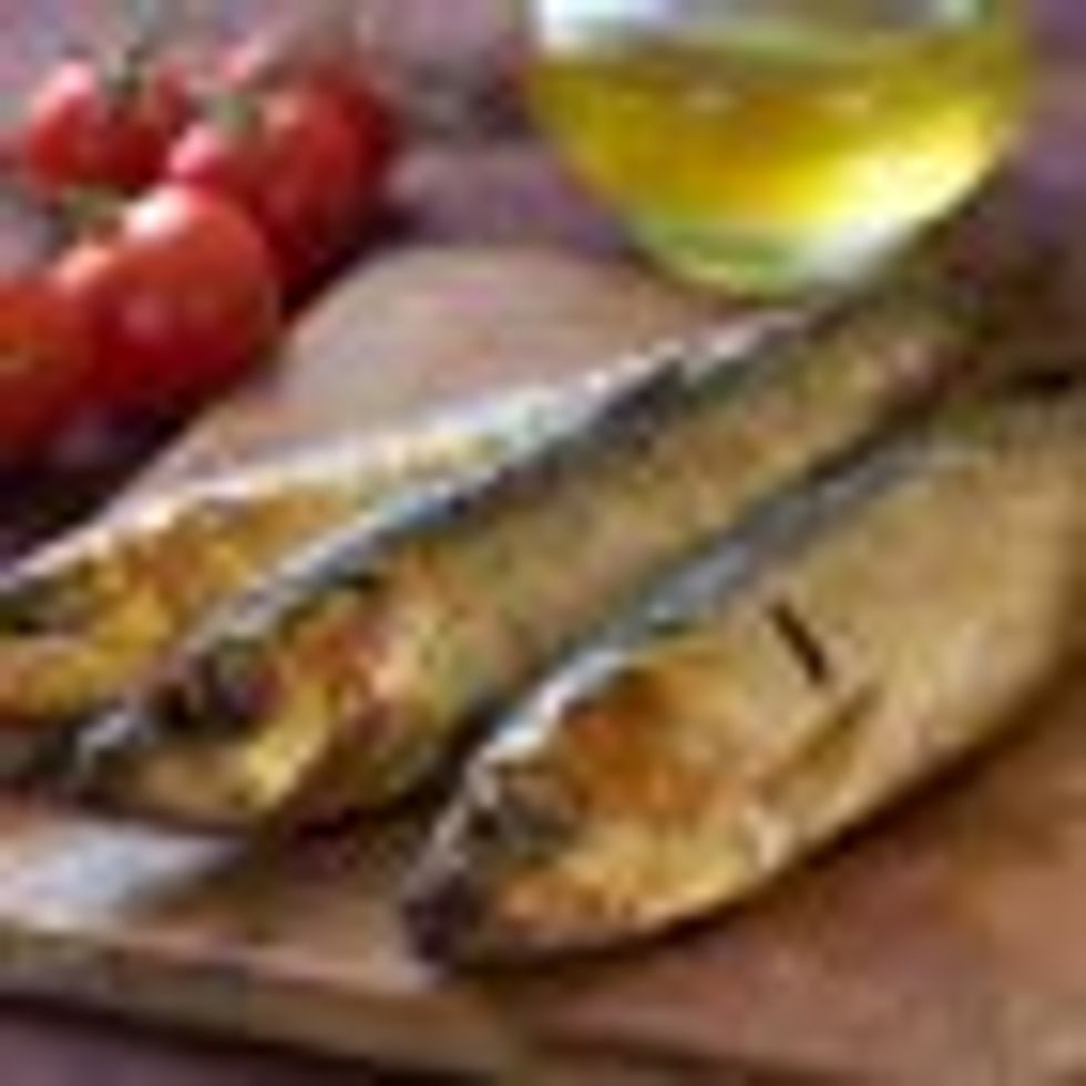 Provencal Mackerel