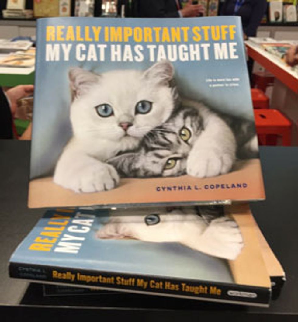 Really Important Stuff My Cat Has Taught Me book