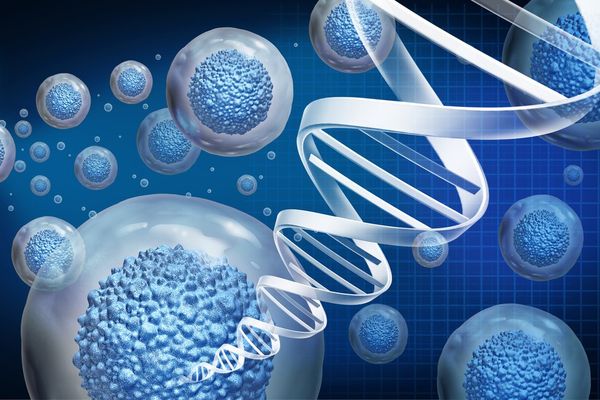 regenerative medicine and therapeutic stem cell therapy to regrow damaged cells as treatment for disease