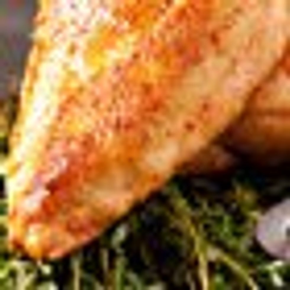 Roast Chicken with Rosemary and Lemon
