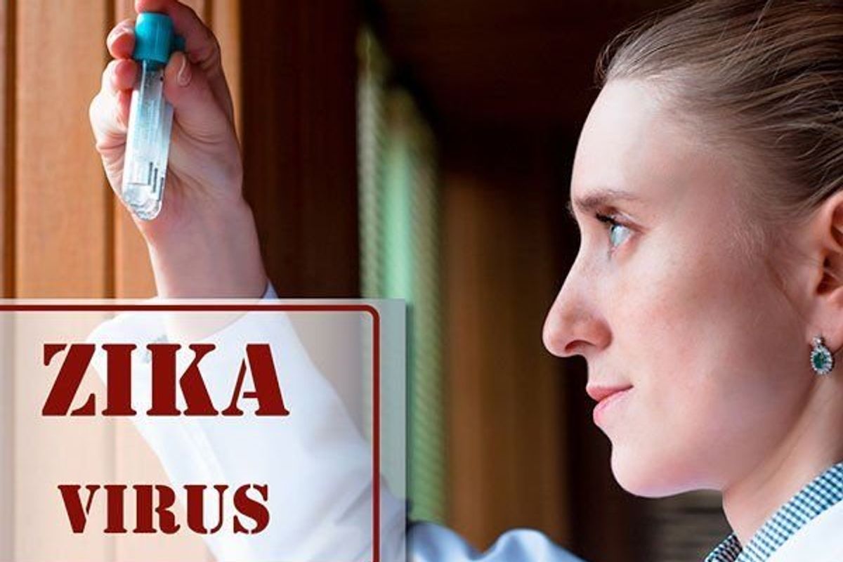 scientist testing zika virus