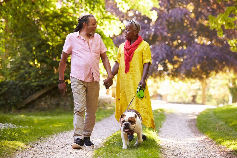 Senior Couple Walking With Pet Bulldog