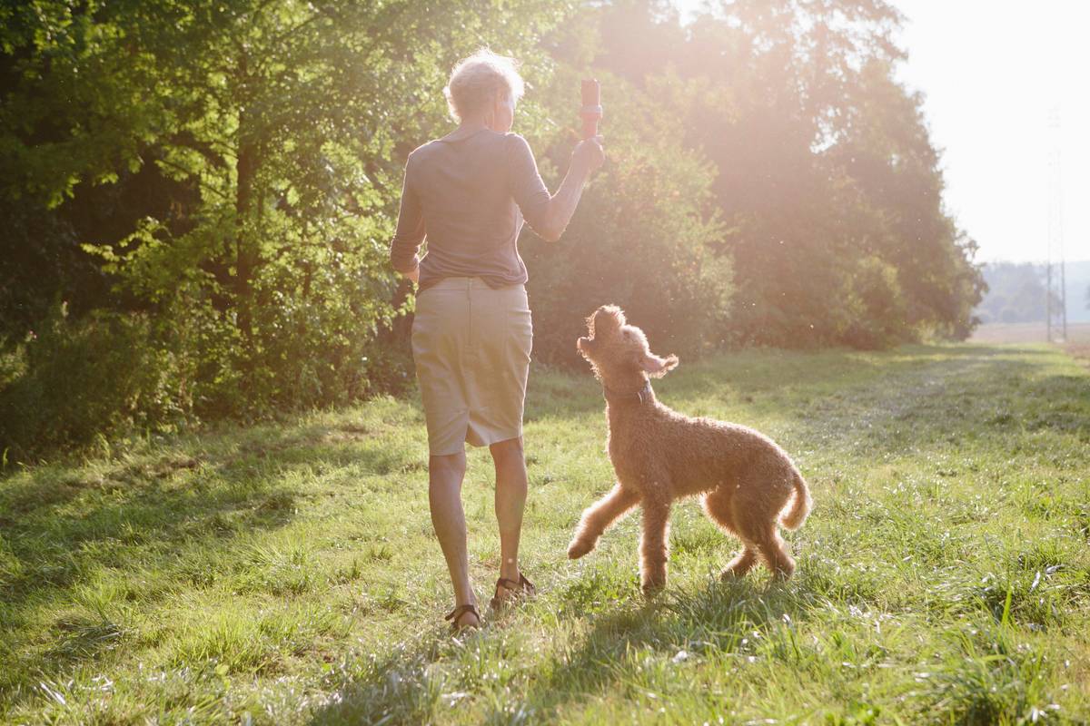 Senior woman walking with her dog between fields and forest