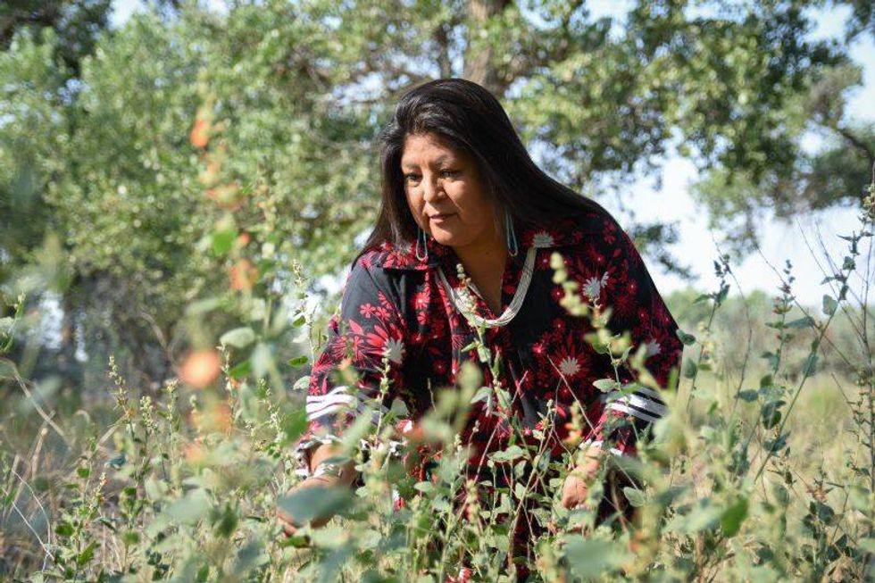 Shayai gathering plant medicine