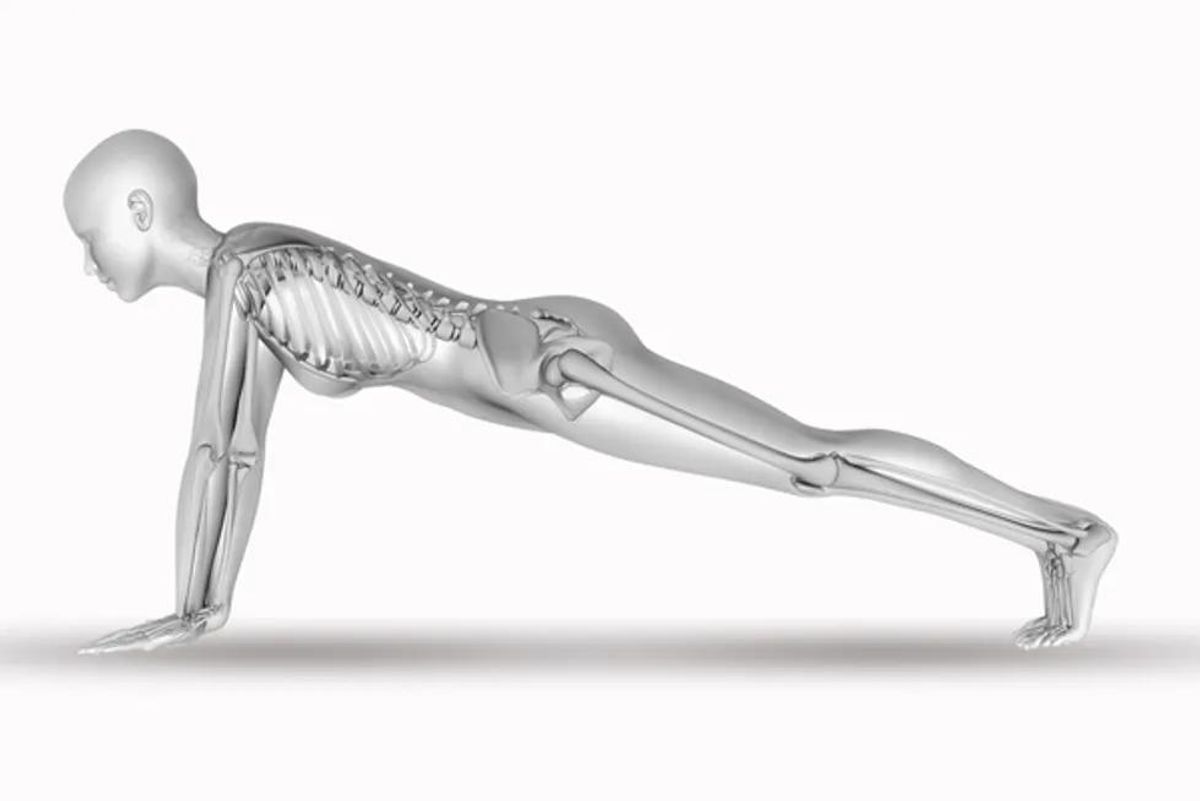 skeleton doing a plank