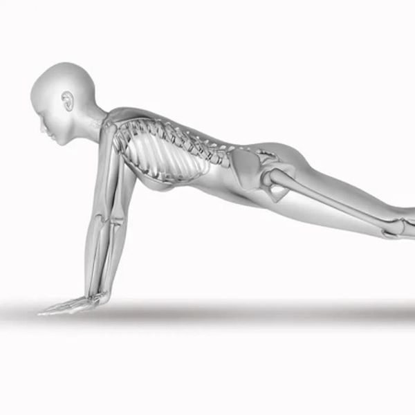 skeleton doing a plank