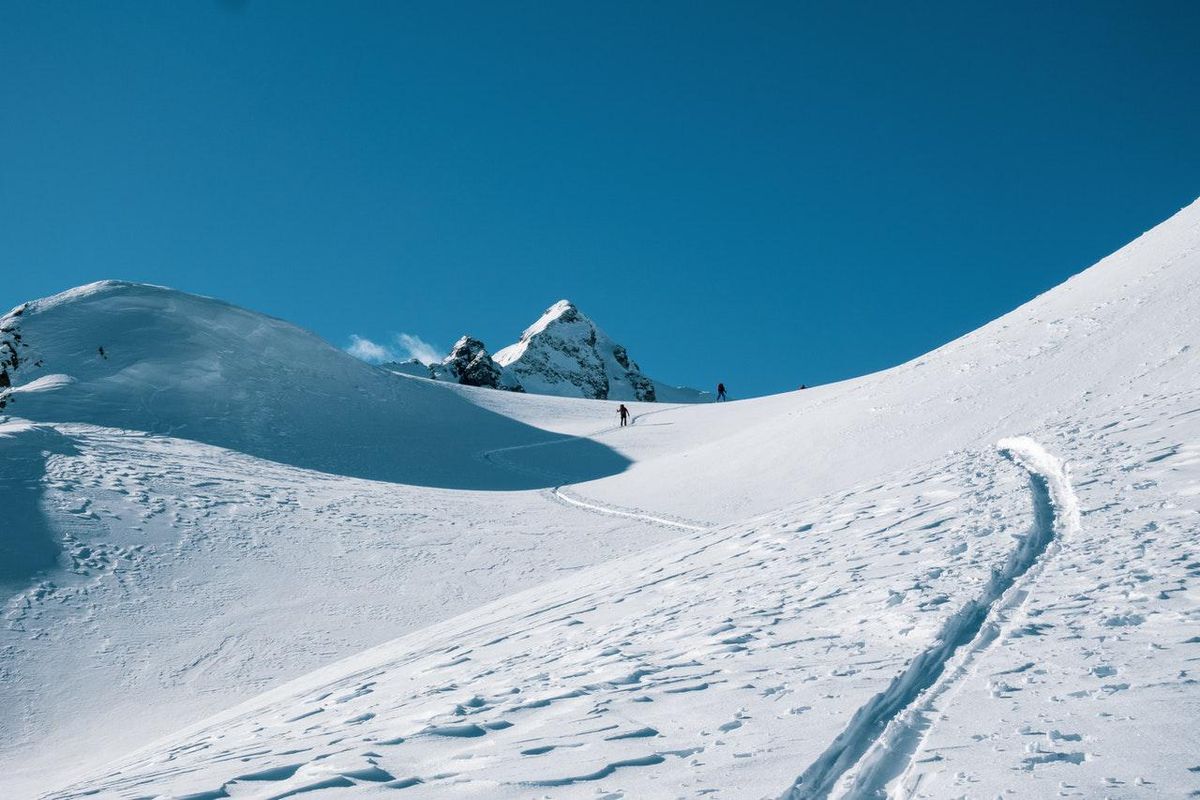 skiiers