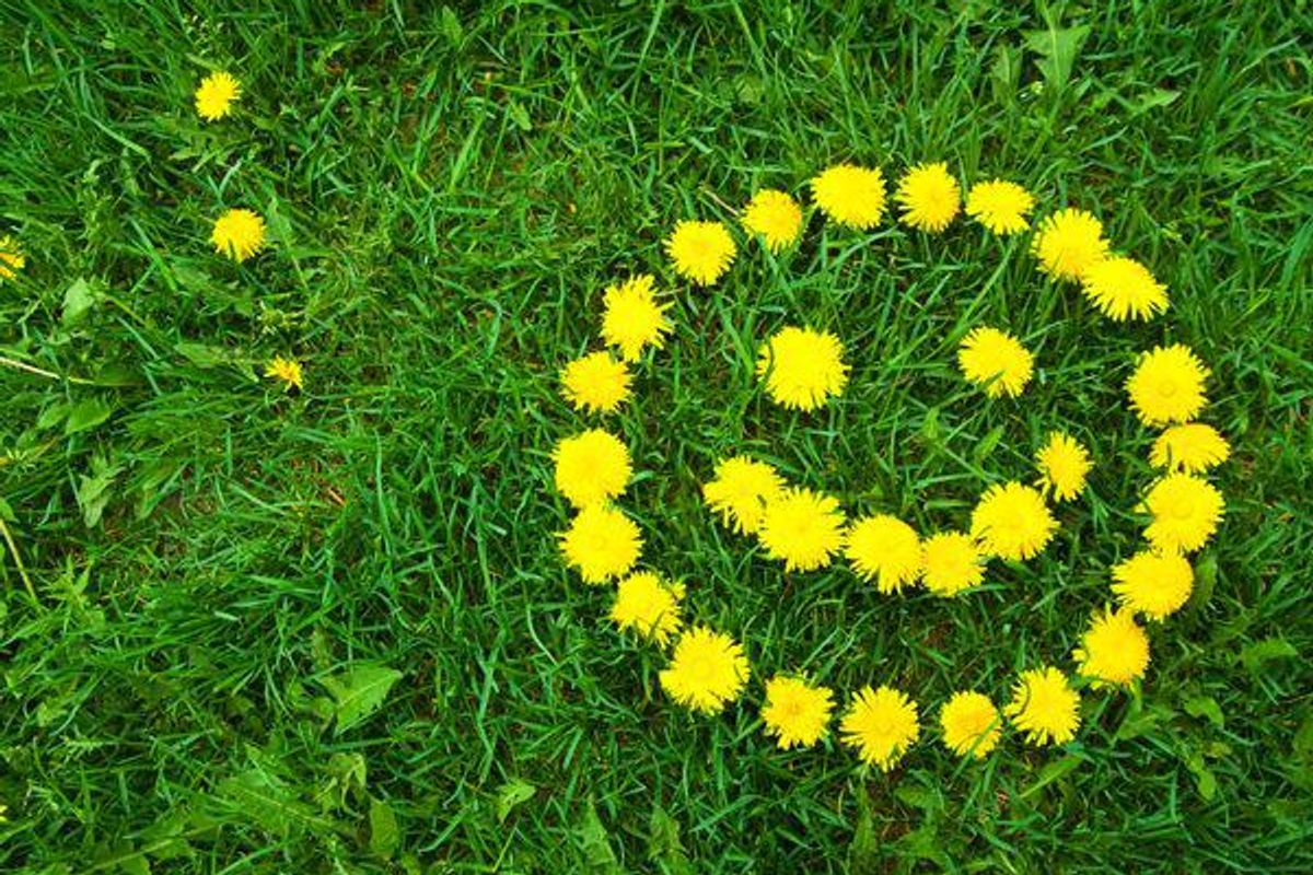 smiley face made out of dandelions