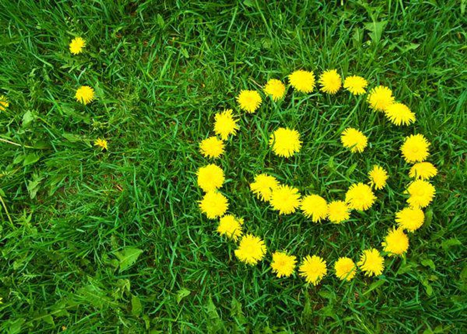 What Does It Take to Be Happy?