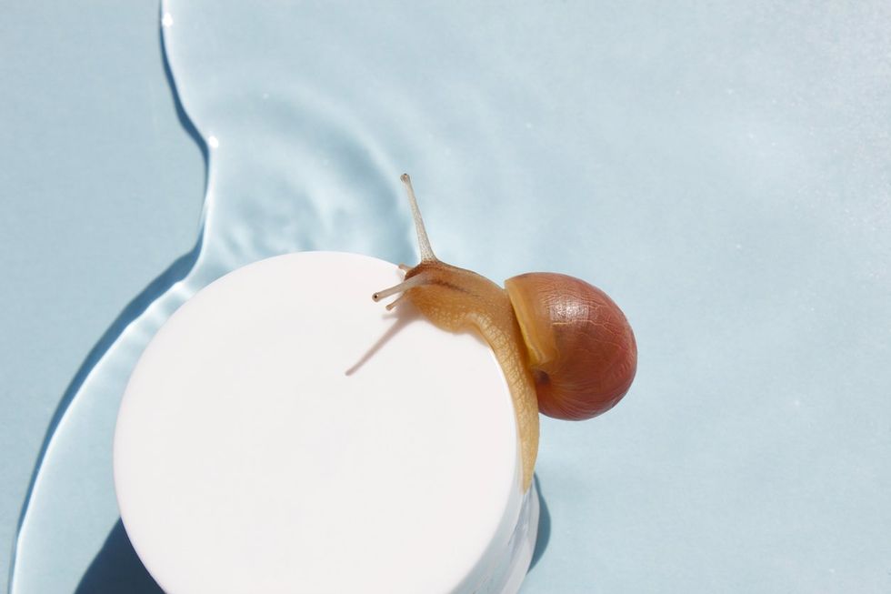 Escargot sur le pot de crème pour la peau sur fond d'eau