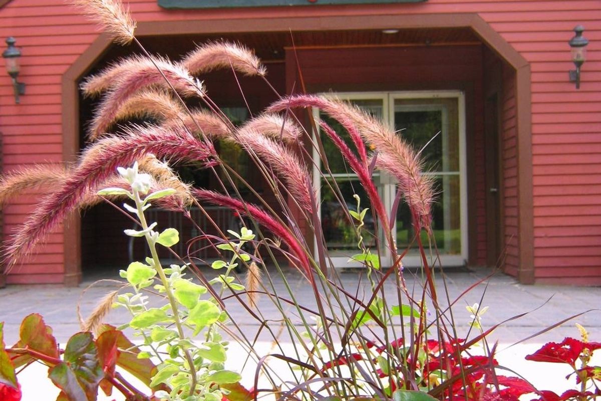 Stop Dieting and Start to Lose Weight