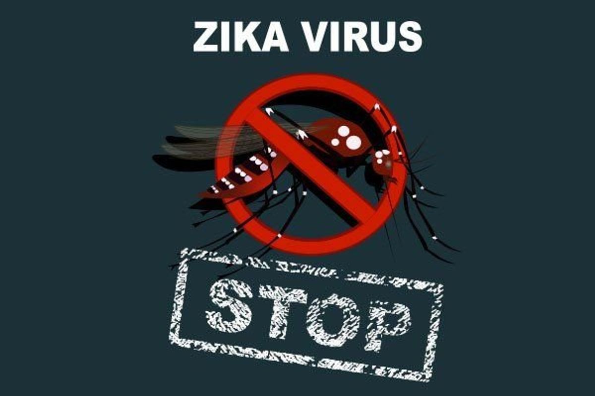 stop zika virus image