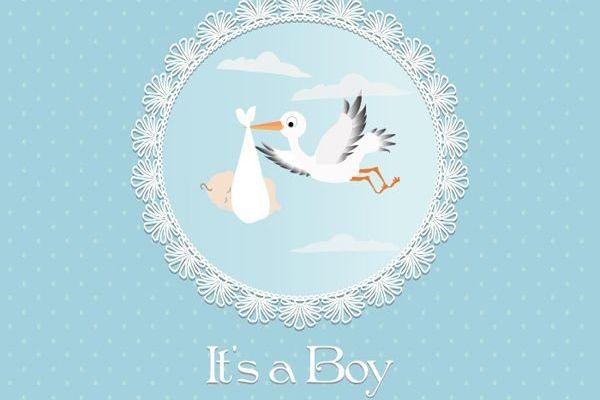 stork carrying baby boy