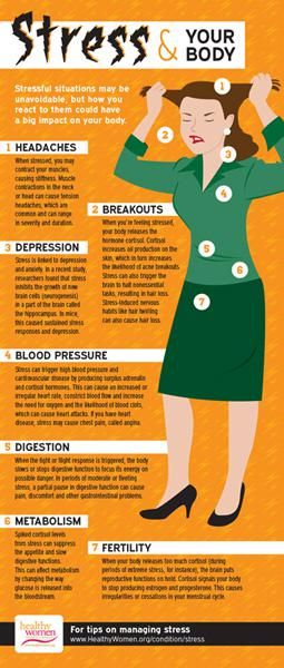 stress and your body infographic