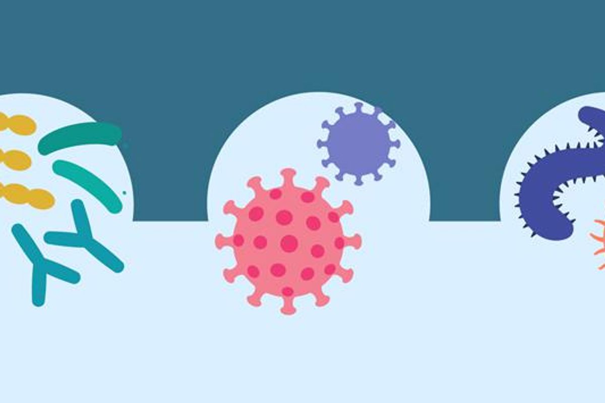 superbugs illustration