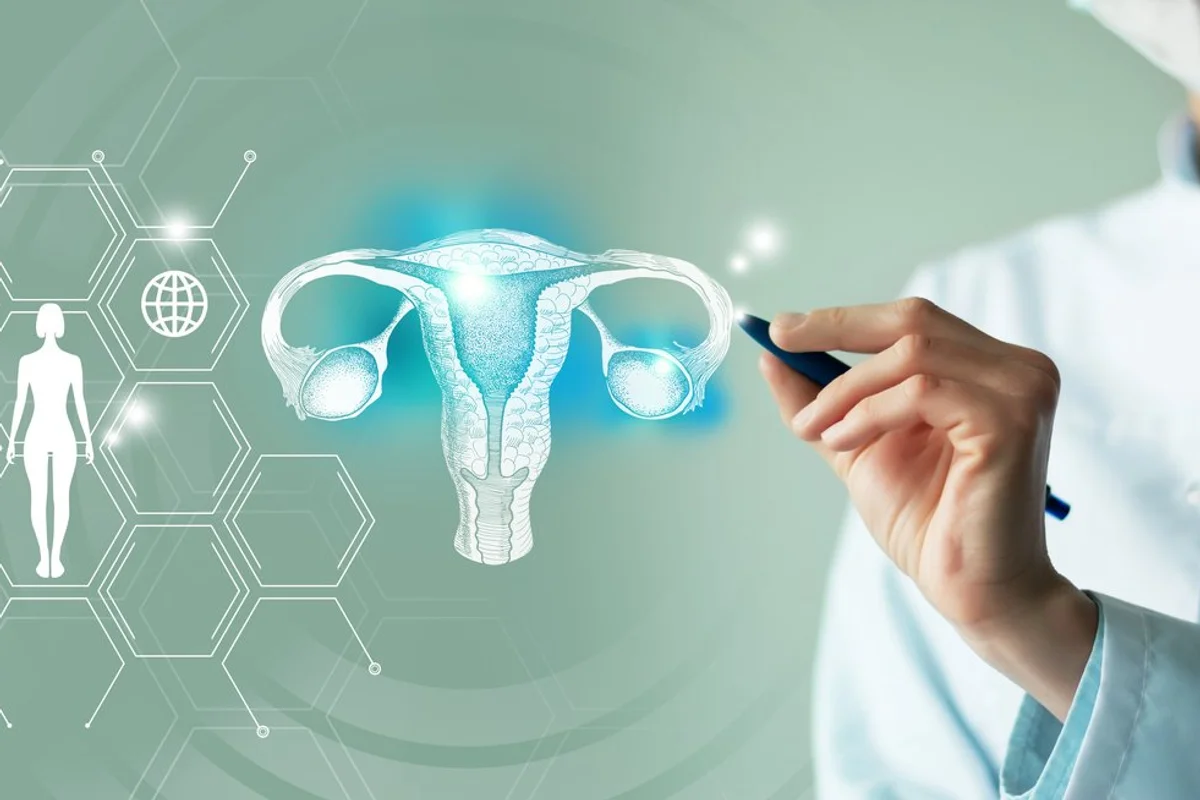 Telemedicine and human Uterus recovery concept