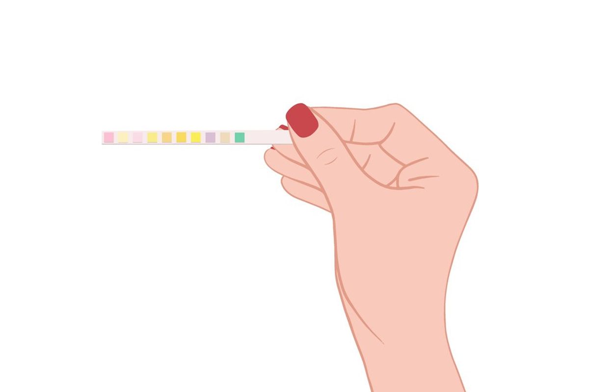 test strips for urinalysis for analyze composition of urine
