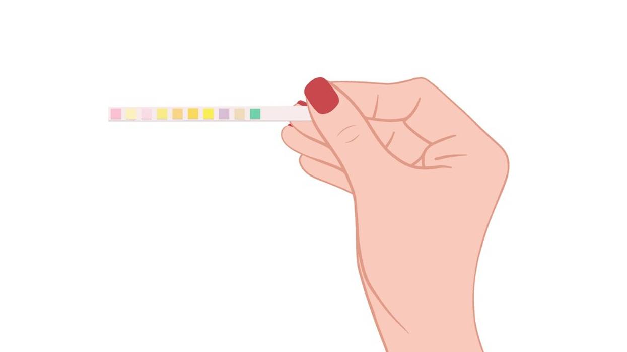 test strips for urinalysis for analyze composition of urine