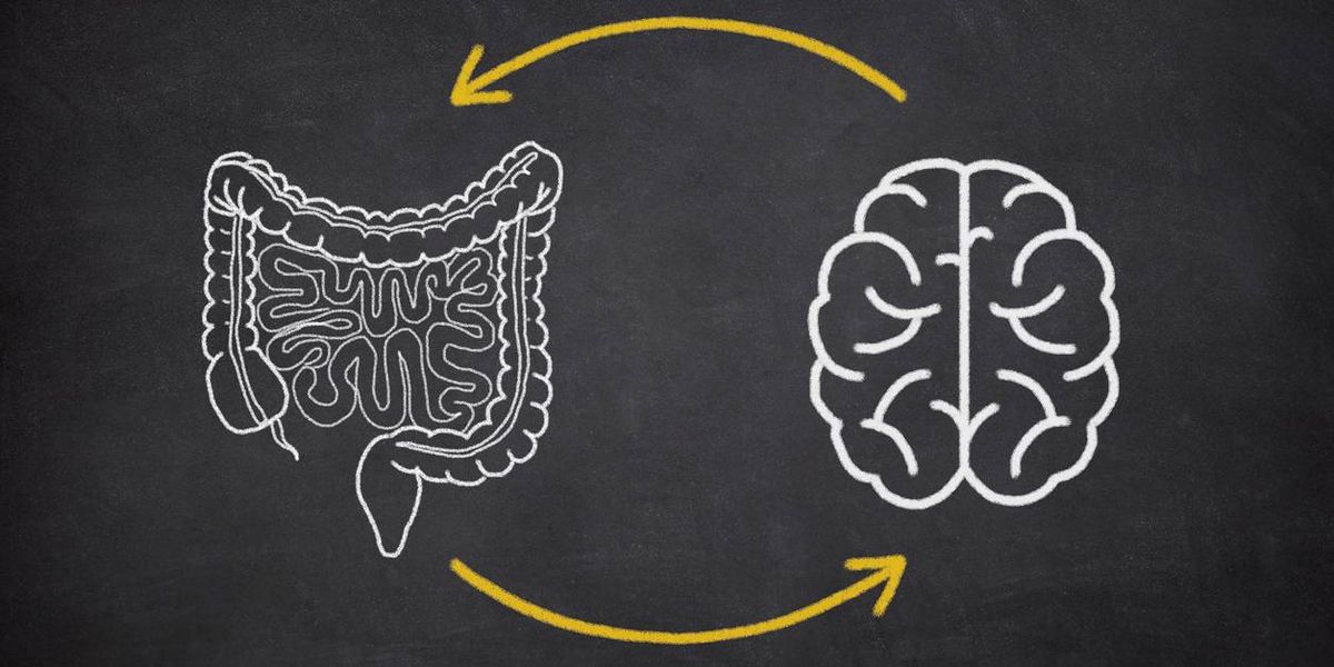 Parkinson’s Disease and Gut Health. What’s the Connection?