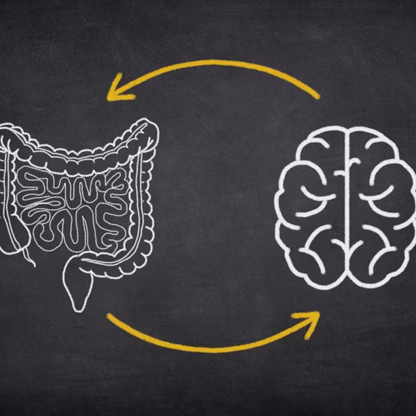The Brain And Digestive System