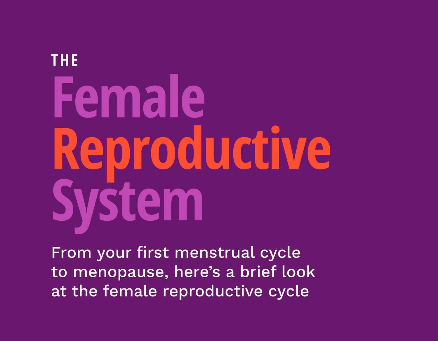 The Female Reproductive System
