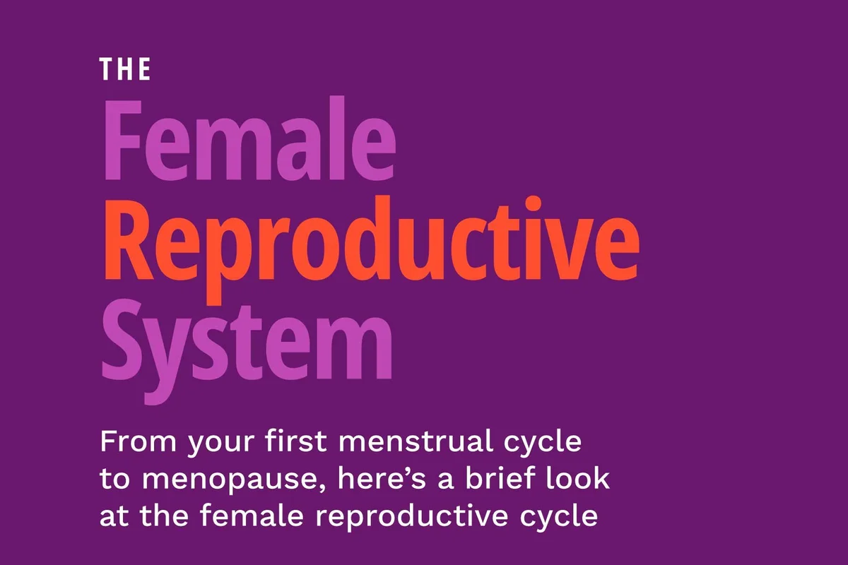 The Female Reproductive System