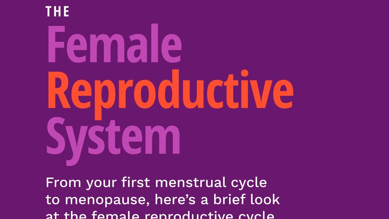The Female Reproductive System