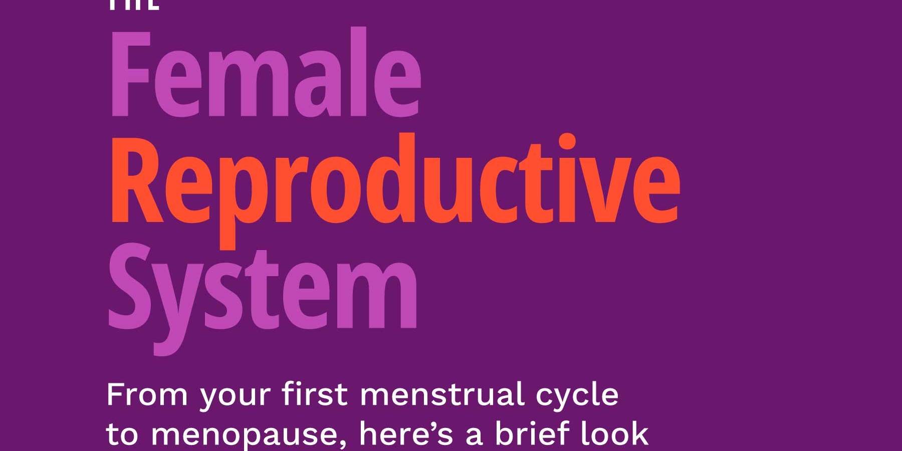 The Female Reproductive System