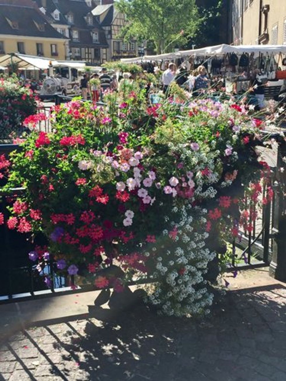 The flowers and canals in Colmar were so pretty.
