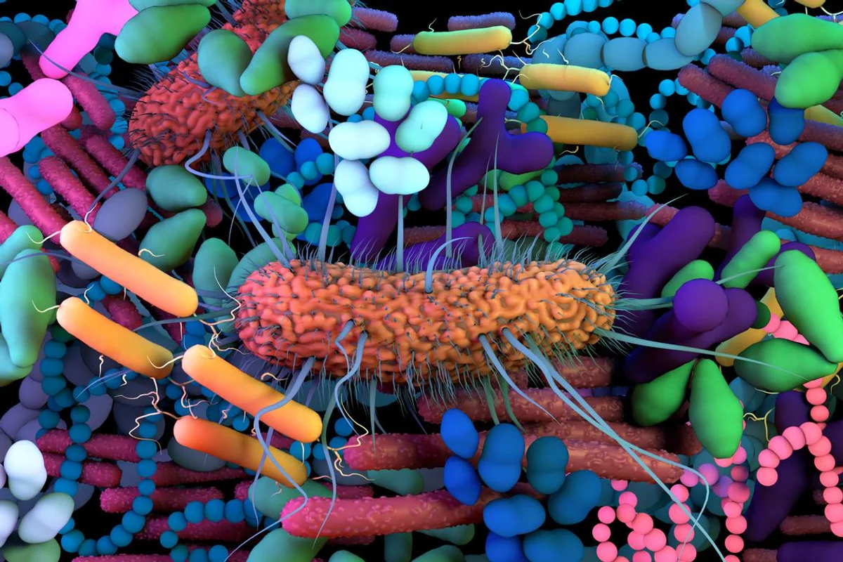 The human Microbiome, genetic material of all the microbes that live on and inside the human body.