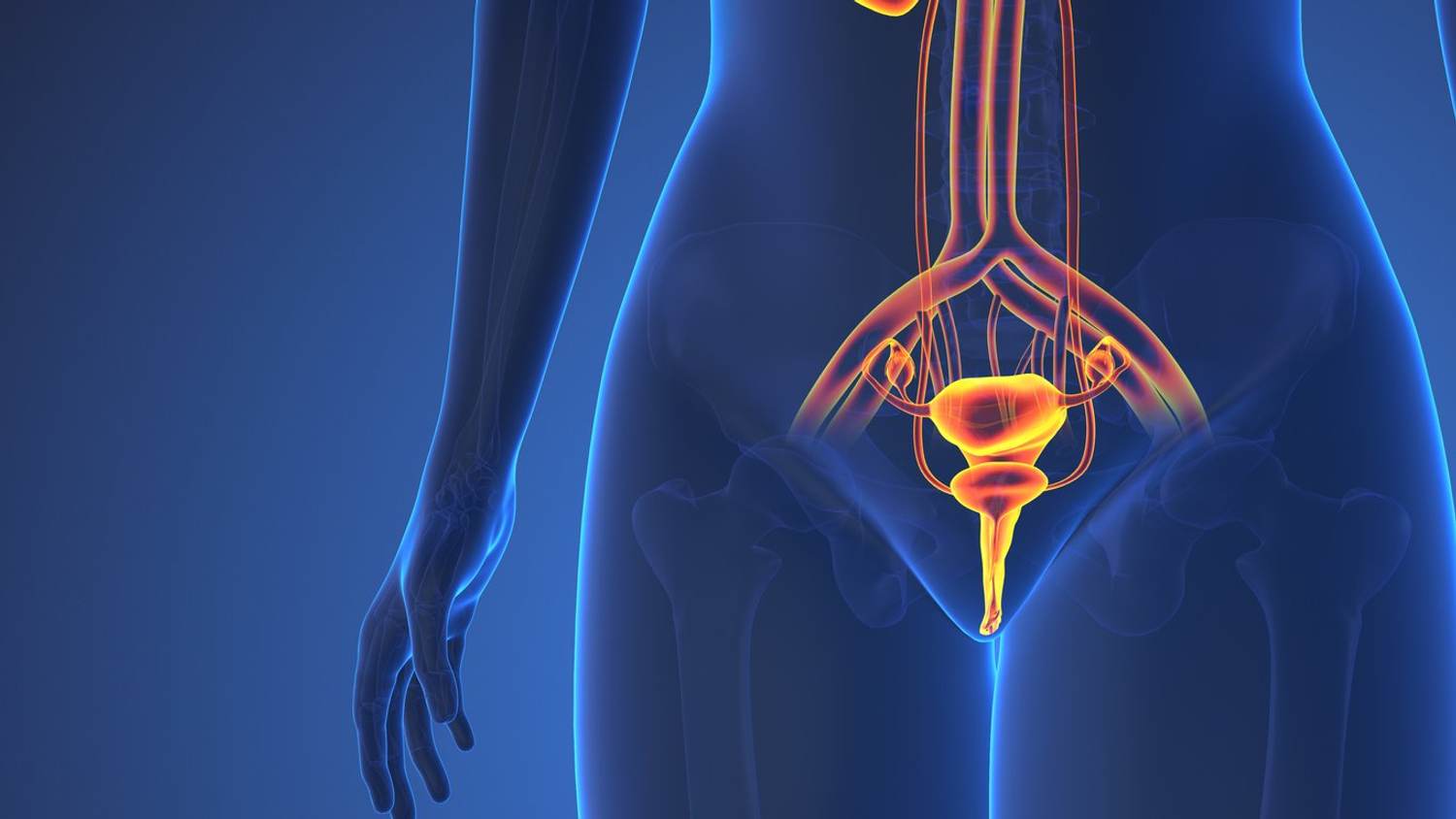FAQs About Reproductive Health and Bladder Cancer