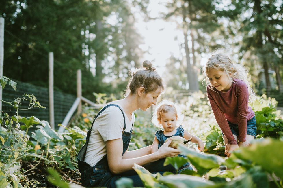 The Impulse to Garden in Hard Times Has Deep Roots