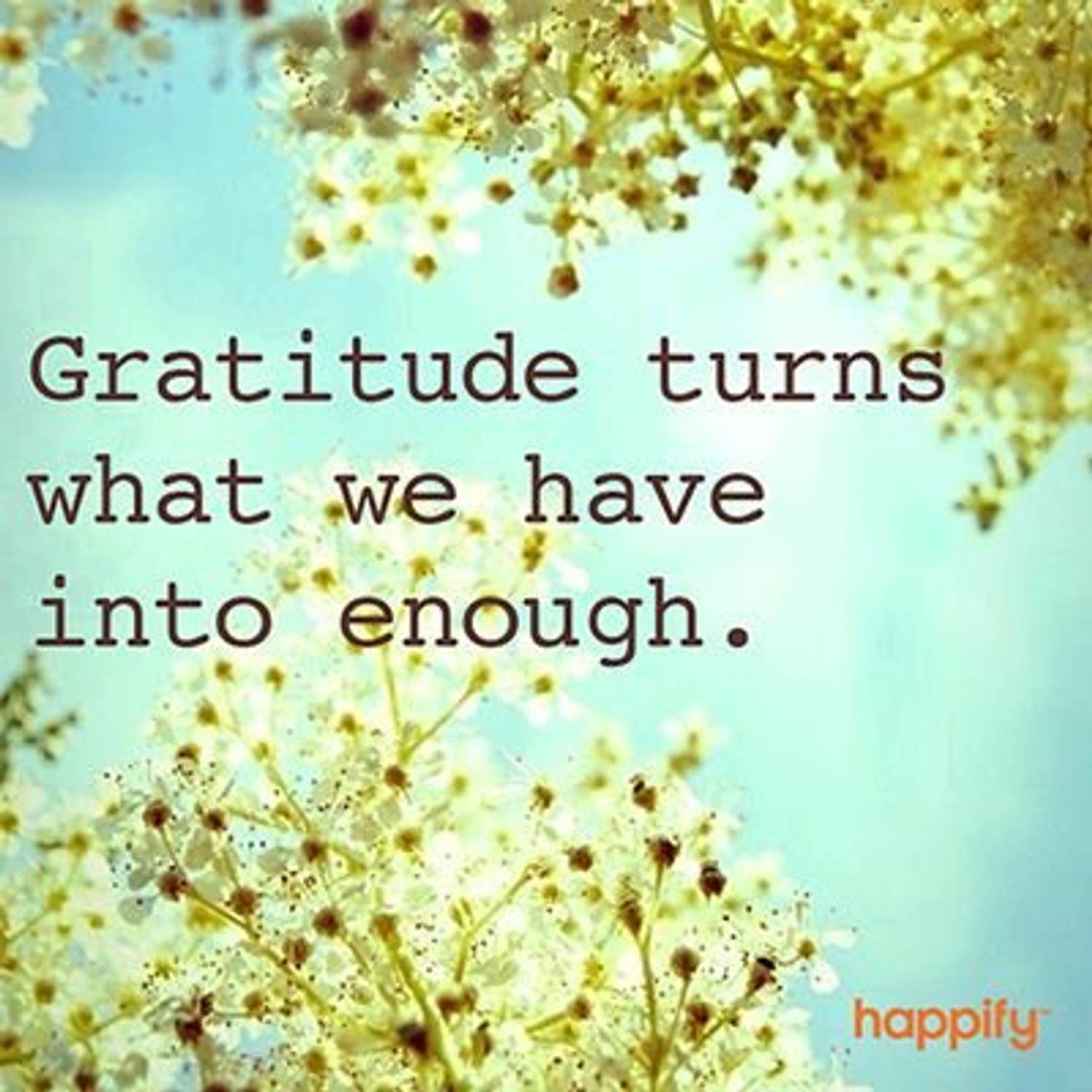The Power of Gratitude