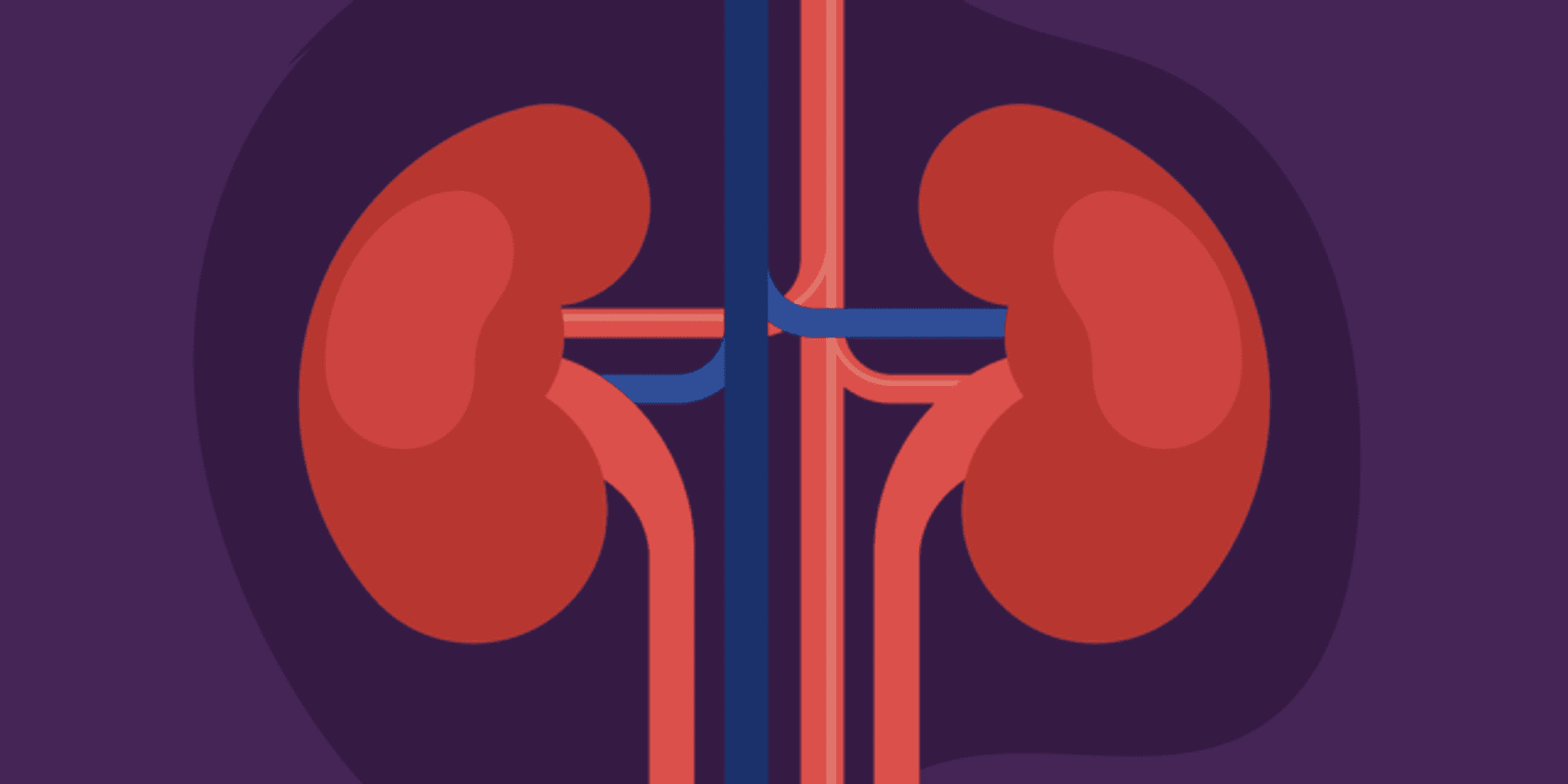 The Power of the Kidneys infographic