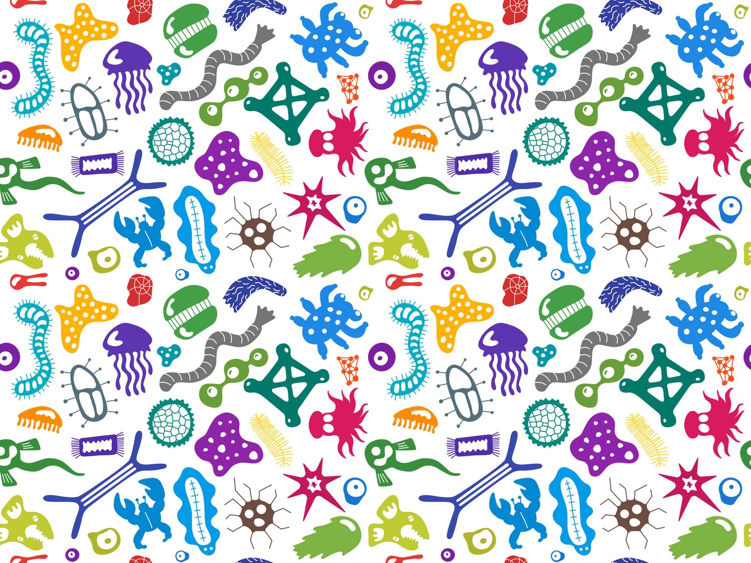 The Wonderful World of Your Microbiome