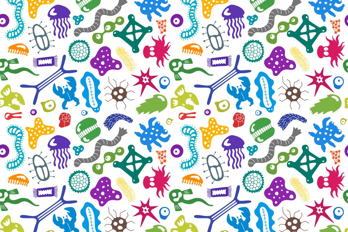 The Wonderful World of Your Microbiome