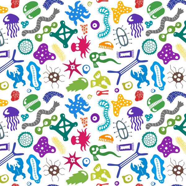 The Wonderful World of Your Microbiome